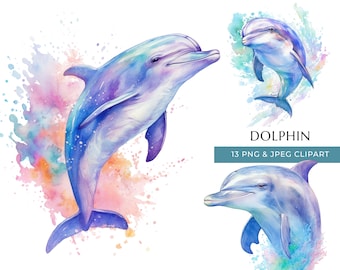 Watercolor Dolphin Clipart – Sea Animal PNG & JPEG (Digital Download)