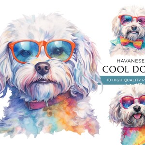 Havanese Dog Clipart: Watercolor Sunglasses Prints (Digital Download)