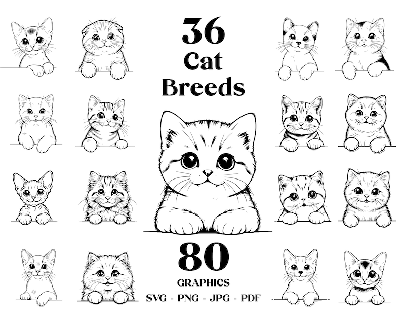 May include: A black and white illustration of 36 different cat breeds. The image includes the text "36 Cat Breeds" and "80 Graphics SVG - PNG - JPG - PDF".
