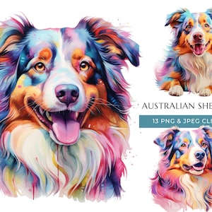 May include: A colorful digital painting of an Australian Shepherd dog with a white, brown, and black coat. The dog is smiling with its tongue out. The background is white with watercolor splatters.