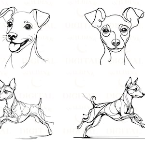 May include: Four line drawings of a dog, a miniature pinscher, in different poses. The first two are headshots, one with the dog looking to the left and the other to the right. The third and fourth drawings show the dog running, one to the left and the other to the right.