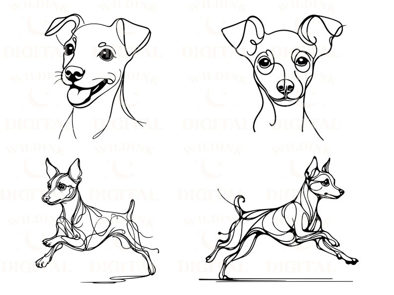 May include: Four line drawings of a dog, a miniature pinscher, in different poses. The first two are headshots, one with the dog looking to the left and the other to the right. The third and fourth drawings show the dog running, one to the left and the other to the right.