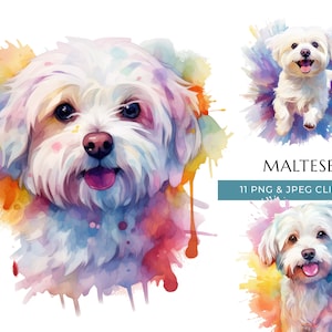Maltese Dog Clipart - 11 High Quality PNGs & JPEG - Colorful Watercolor Dog - Digital Crafting - Instant Digital Download