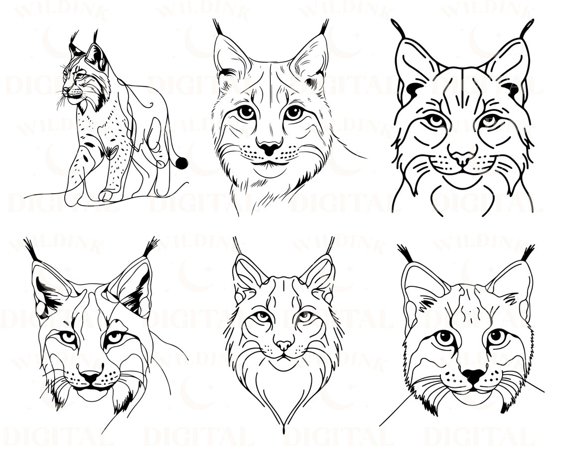 Lynx Line Art SVG Clipart: Feline Vector Graphics (digital Download) - Etsy