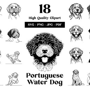 Paquete de imágenes prediseñadas SVG & PNG de perro de agua portugués: arte de línea digital, vector minimalista de perro Portie para sublimación, amante de los perros, descarga digital