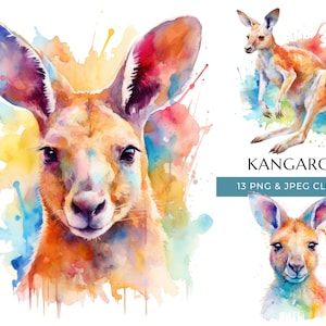 Kangaroo Clipart - 13 High Quality PNGs & JPEG - Colorful Watercolor Australian Animal Print - Digital Crafting - Instant Digital Download