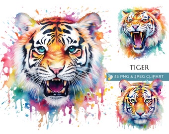 Clipart de tigre en acuarela: gráficos PNG y JPEG coloridos (descarga digital)