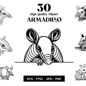 Clipart SVG tatou, dessin au trait minimaliste, logo animal vecteur, Art moderne, tatouage et sublimation, broderie, téléchargement numérique