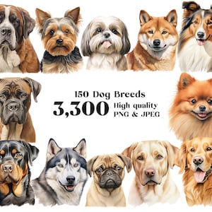 Mais de 3.300 cliparts de cães - Mega Bundle - 150 raças de cães, a maior coleção de raças de cães no Etsy, raças de cães PNG, sublimação, download digital
