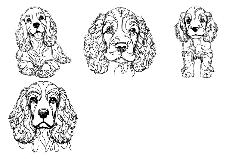 American Cocker Spaniel Line Art Clipart Bundle (digital Download) - Etsy