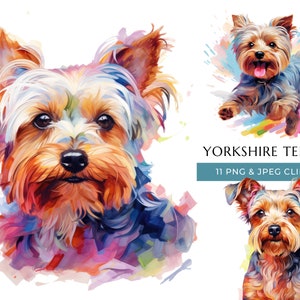 Yorkshire Terrier Dog Clipart - 11 High Quality PNGs & JPEG - Yorkie Colorful Watercolor Dog - Digital Crafting - Instant Digital Download