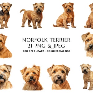 Watercolor Norfolk Terrier Clipart Bundle 21 High Quality PNG & JPEG, Gift for Dog Mom and Dad, Digital Crafting, Digital Download