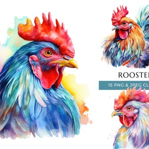 Rooster Clipart - 15 High Quality PNGs & JPEG - Colorful Watercolor Farm Animal - Digital Crafting - Instant Digital Download