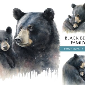 Mama und Baby Bär Clipart, 9 hochwertige PNGs, Aquarell süße Mama Schwarzbär, Muttertag, Geschenk für Mama, sofortiger digitaler Download Set 01
