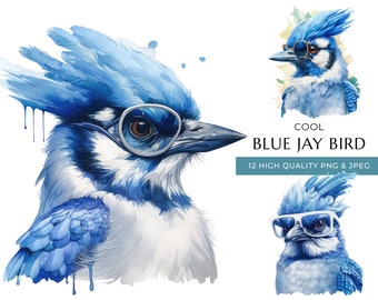 Watercolor Blue Jay Bird Clipart with Sunglasses, 12 High-Quality PNG & JPEG, Cool Woodland Animal Print, Digital Crafting, Digital Download