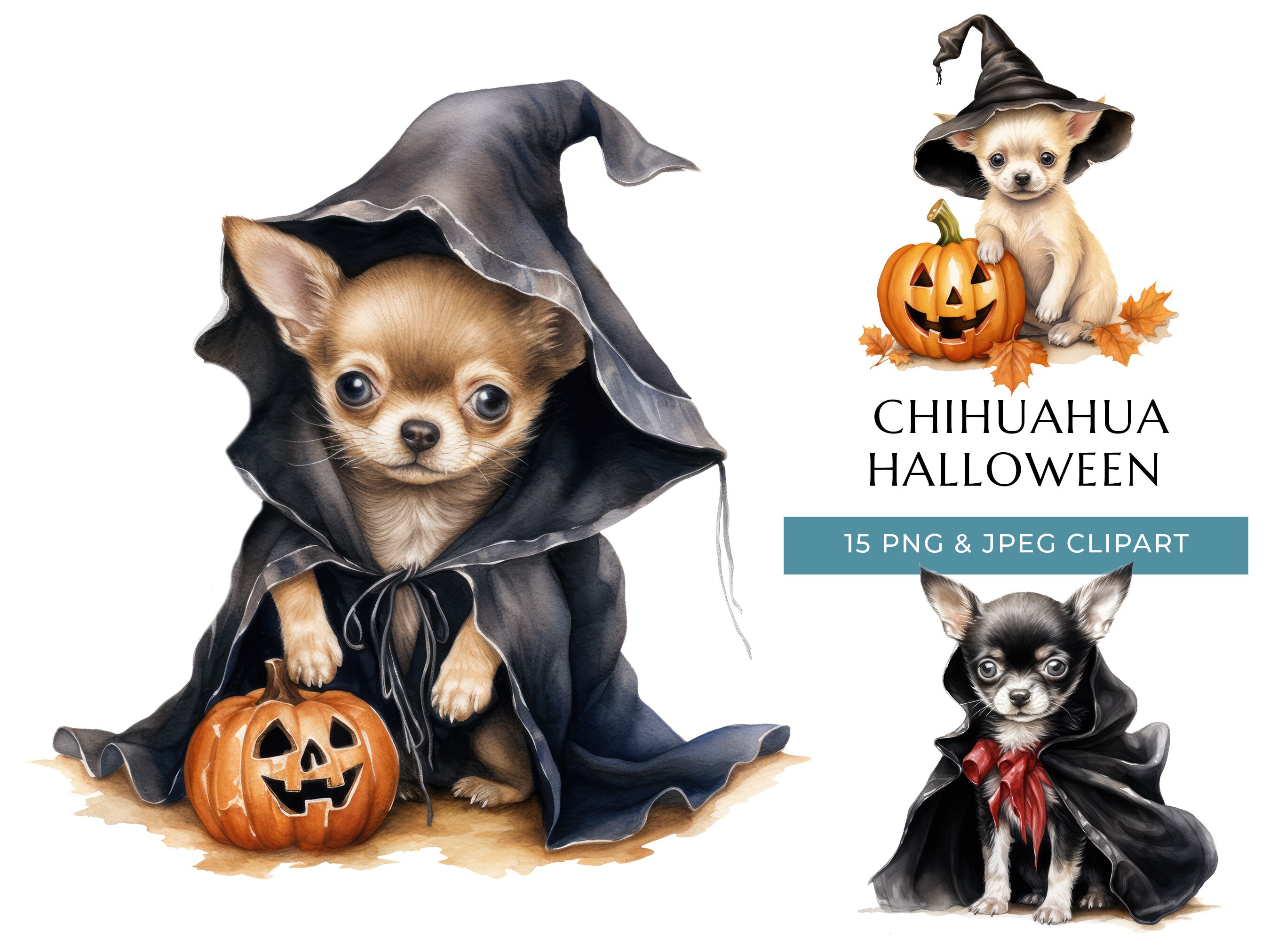 Chihuahua halloween hotsell