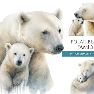 Mama und Baby Eisbär Clipart, 9 hochwertige PNGs, Aquarell niedliche Mama Eisbär, Muttertag, Geschenk für Mama, Digital Download Set 01