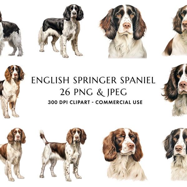 Watercolor English Springer Spaniel Clipart Bundle 26 High Quality PNG & JPEG, Gift for Dog Mom and Dad, Digital Crafting, Digital Download