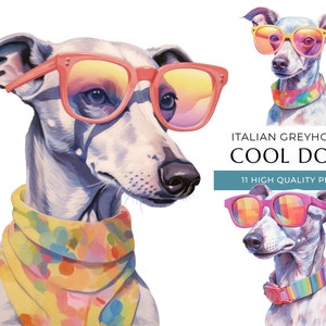 Cool chien lévrier italien Clipart, 11 PNG de haute qualité, chiens drôles avec des lunettes de soleil impression aquarelle, artisanat numérique, téléchargement numérique