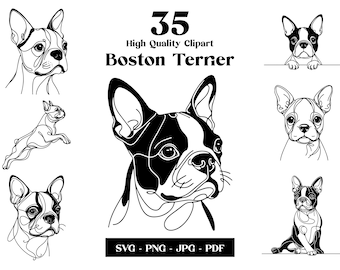 May include: A set of 35 black and white line art illustrations of Boston Terriers in various poses. The illustrations are high quality and perfect for use in digital or print projects.