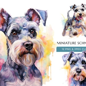 Zwergschnauzer Hund Clipart - 12 hochwertige PNGs & JPEG - bunte Aquarell Hund - digitales Handwerk - sofortiger digitaler Download