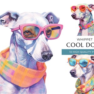 Cool Whippet Dog Clipart, 13 High Quality PNGs, Funny Dogs with sunglasses Watercolor, Digital Crafting, Digital Download