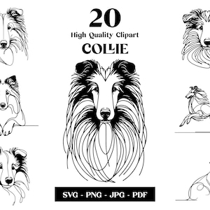 Collie SVG & PNG Clipart Bundle: Digitale Strichzeichnungen, minimalistische Vektor-Hundezeichnung für Sublimation, Hundeliebhaber, Welpe digitaler Download