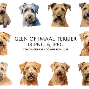 Watercolor Glen of Imaal Terrier Clipart Bundle 18 High Quality PNG & JPEG, Gift for Dog Mom and Dad, Digital Crafting, Digital Download