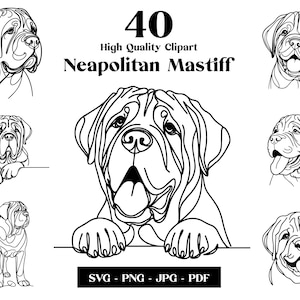 Neapolitan Mastiff Dog SVG & PNG Clipart Bundle: Digital Line Art, Minimalist Vector Dog Drawing for Sublimation, Puppy Digital Download