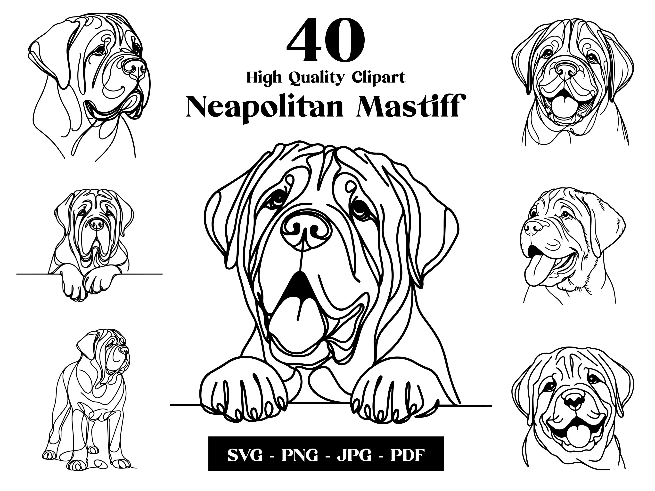 Neapolitan Mastiff Dog SVG & PNG Clipart Bundle: Digital Line Art, Minimalist Vector Dog Drawing for Sublimation, Puppy Digital Download