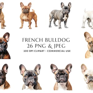 Aquarel Franse Bulldog Clipart Bundel 26 Hoge kwaliteit PNG & JPEG, Cadeau voor hond mama en papa, Digitaal knutselen, Digitale download