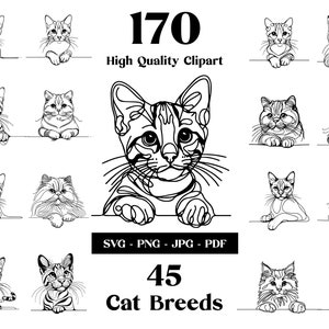 170 gatos espreitando pacote SVG de arte em linha: 45 raças de gatos, clipart PNG de gato, gráficos vetoriais de gatinhos, imprimíveis, sublimação, download digital
