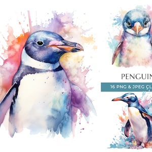 Penguin Clipart - 16 PNGs & JPEG de alta calidad - Estampados de animales de acuarela coloridos - Elaboración digital - Descarga digital instantánea