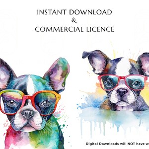 Watercolor Boston Terrier Puppy Clipart, Dog with Sunglasses (Digital Download) image 3