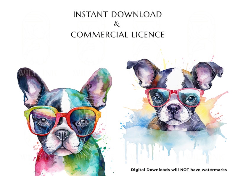 Watercolor Boston Terrier Puppy Clipart, Dog with Sunglasses (Digital Download) image 3