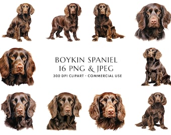 Puede incluir: Un conjunto de 16 ilustraciones digitales de perros Boykin Spaniel en marrón y blanco. Las imágenes son clipart de 300 DPI y son para uso comercial. El texto "Boykin Spaniel 16 PNG & JPEG 300 DPI Clipart - Commercial Use" se muestra debajo de las imágenes.