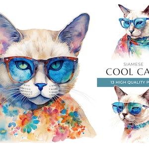 Cool Cats Watercolor Clipart, 13 High Quality PNGs, Funny Siamese Cats with sunglasses Prints, Digital Crafting, Digital Download