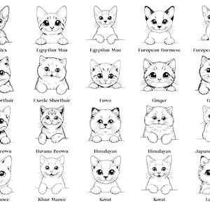 May include: A black and white line drawing illustration of 20 different cat breeds. Each cat is depicted with a cute, cartoon-like style, looking directly at the viewer. The cat breeds are labeled below each image.