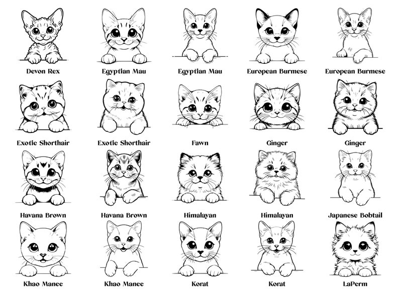 May include: A black and white line drawing illustration of 20 different cat breeds. Each cat is depicted with a cute, cartoon-like style, looking directly at the viewer. The cat breeds are labeled below each image.
