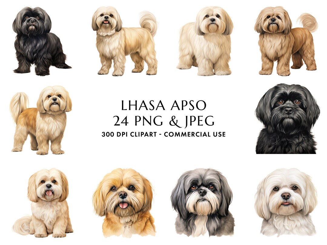 Watercolor Lhasa Apso Clipart, Dog Mom Gift (digital Download) - Etsy
