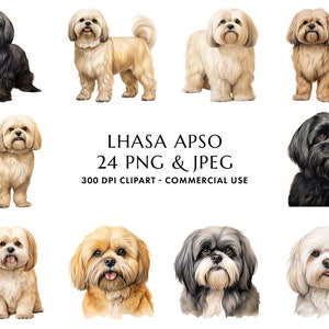 Acuarela Lhasa Apso Clipart Bundle 24 PNG & JPEG de alta calidad, regalo para mamá y papá perro, elaboración digital, descarga digital