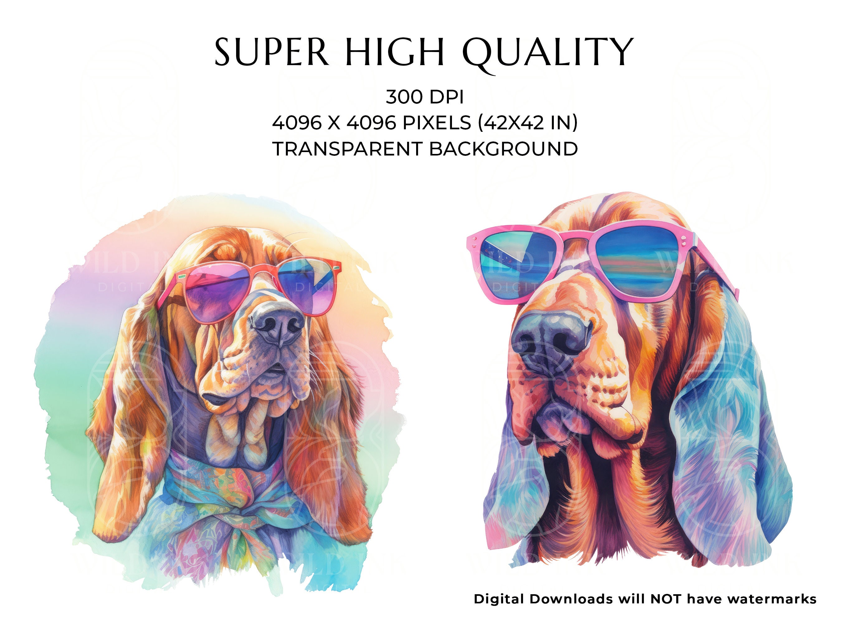 Bloodhound Dog Clipart: Funny Watercolor Print With Sunglasses