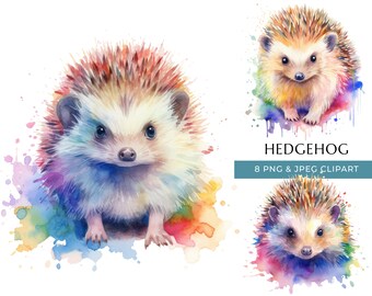 Watercolor Hedgehog Clipart: Woodland Animal PNG & JPEG (Digital Download)
