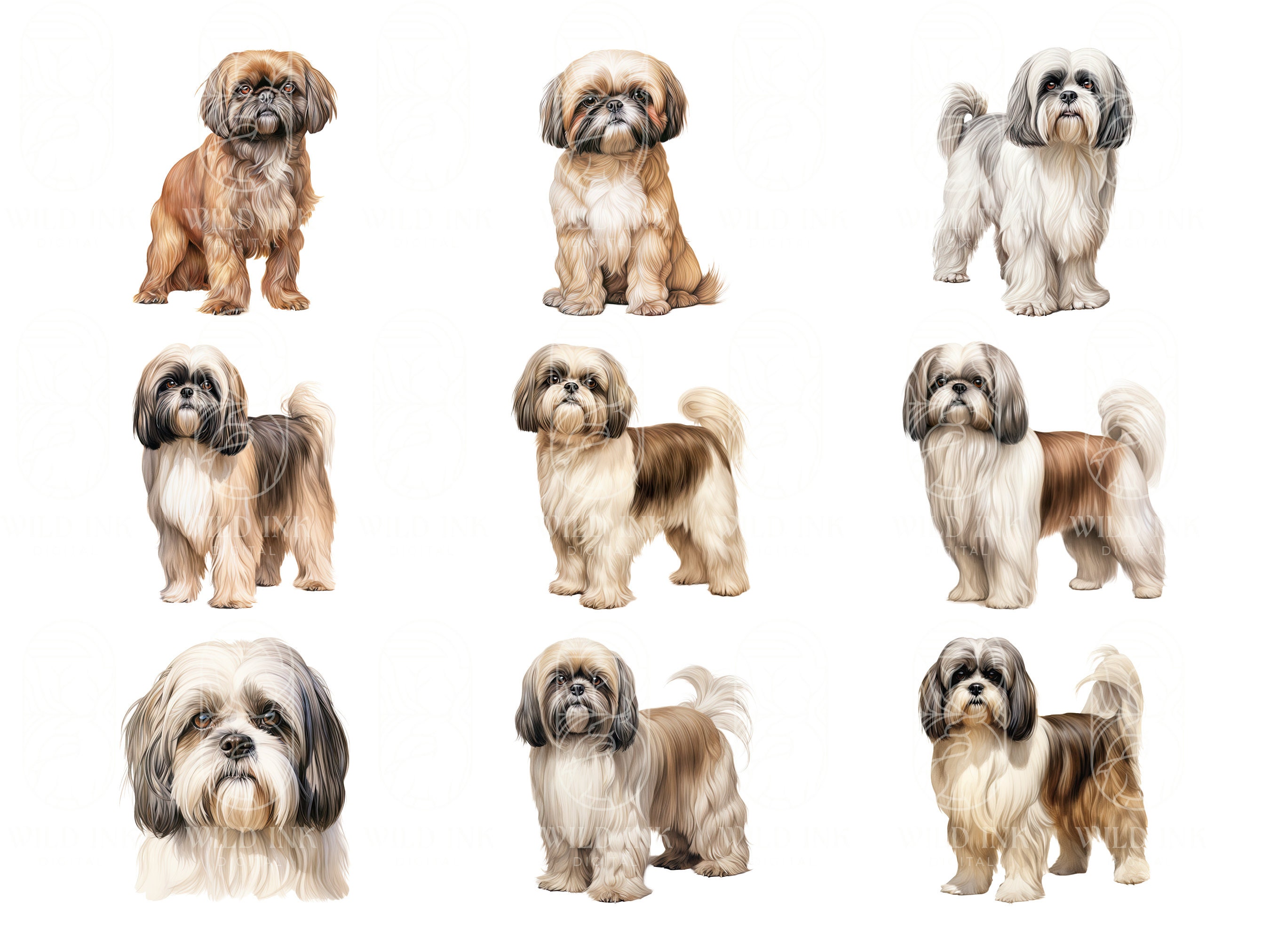 Watercolor Shih Tzu Clipart Bundle: 44 PNG & JPEG Images (digital ...