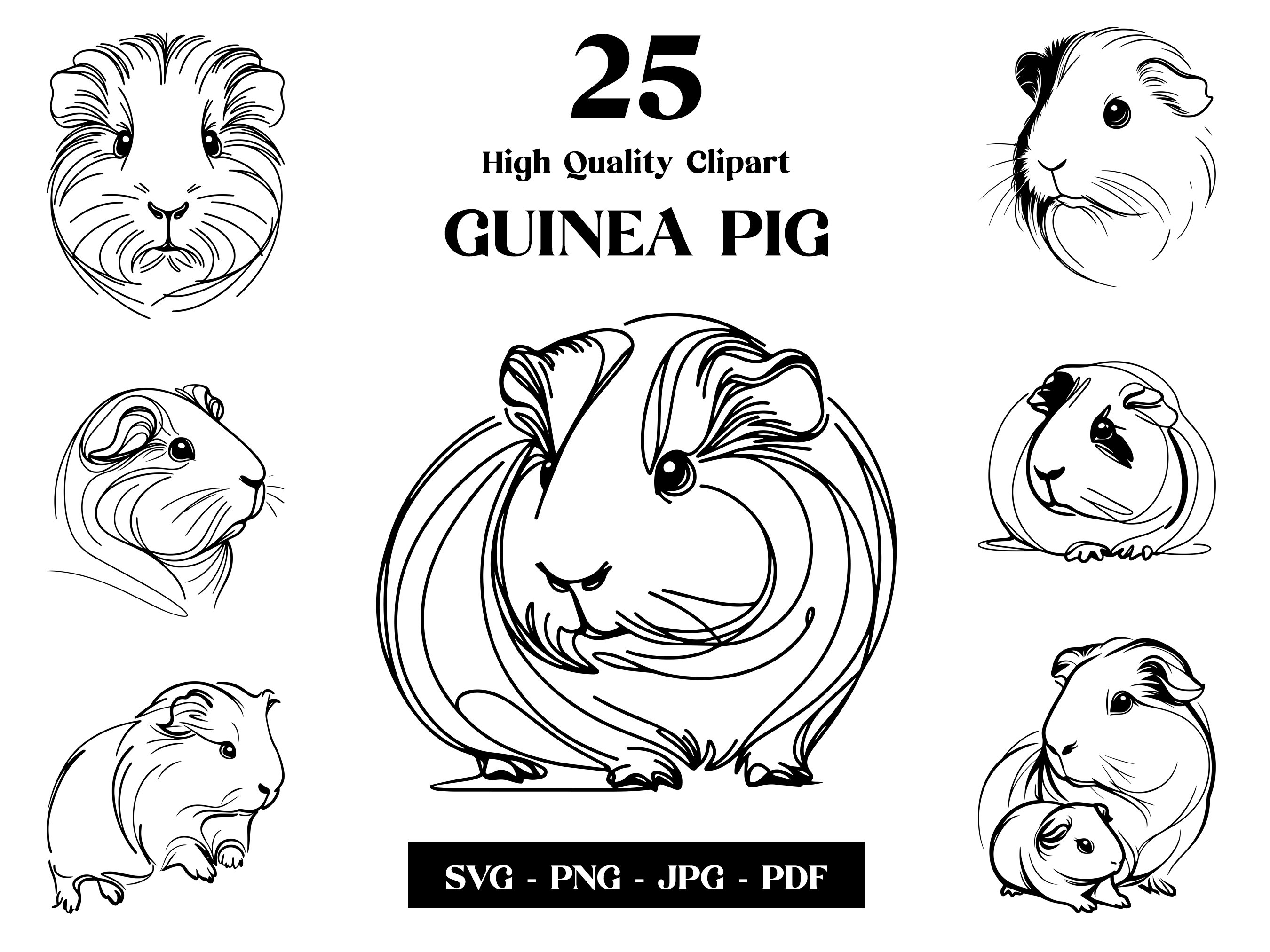 Wandtattoo Meerschweinchen – Niedlich & Fotorealistisch, 30x16 Cm
