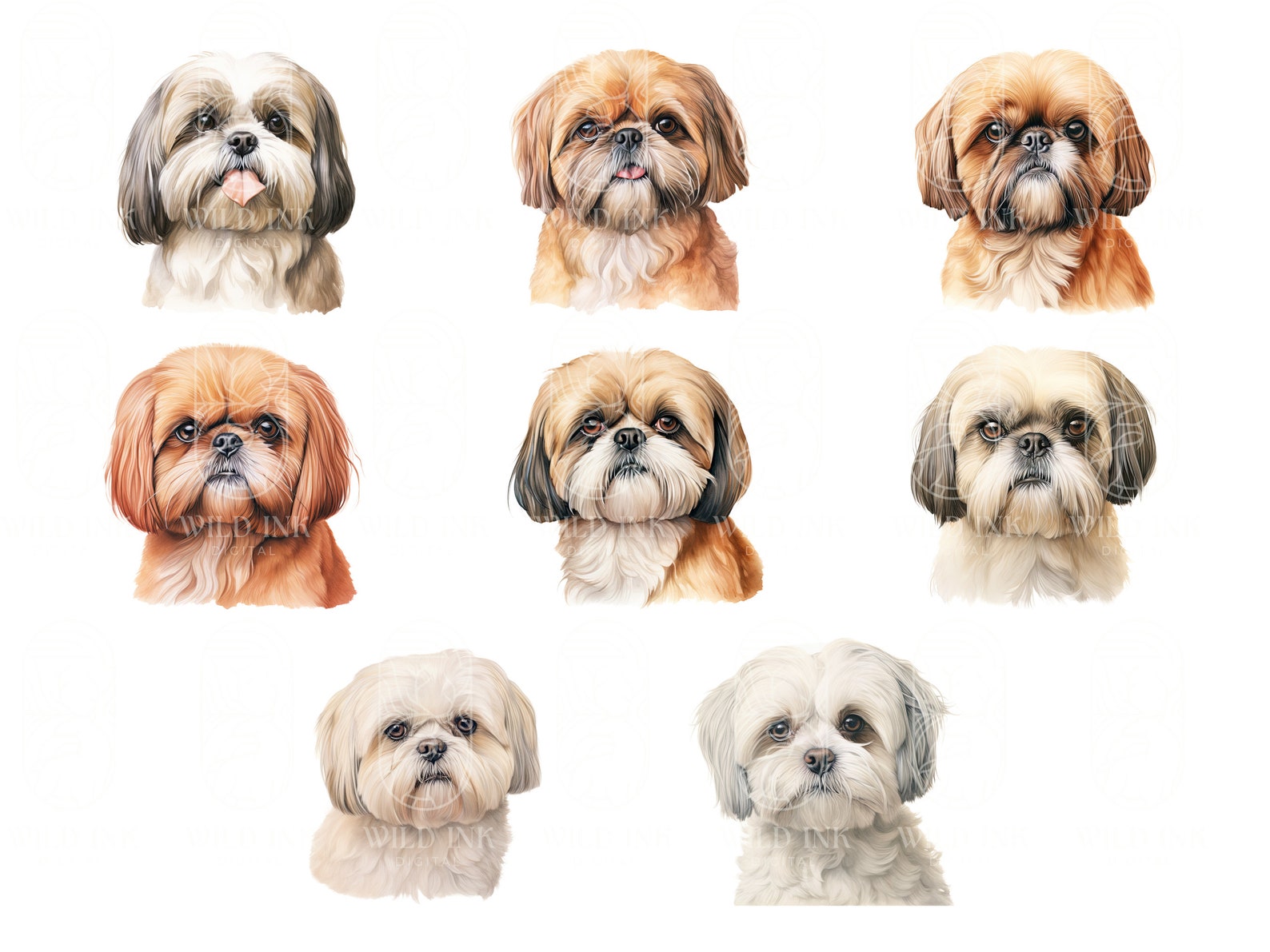Watercolor Shih Tzu Clipart Bundle: 44 PNG & JPEG Images (digital ...