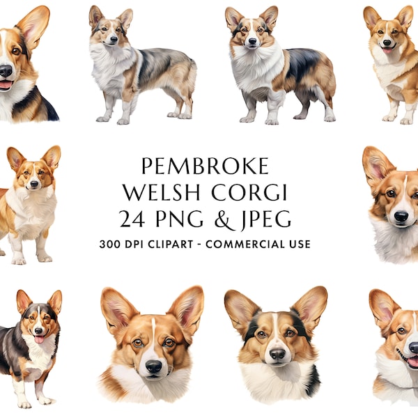 Watercolor Pembroke Welsh Corgi Clipart Bundle 24 High Quality PNG & JPEG, Gift for Dog Mom and Dad, Digital Crafting, Digital Download