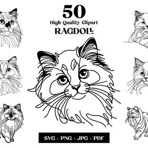 May include: Collection of 50 high-quality Ragdoll cat clipart images in a minimalist line art style. Includes various poses and perspectives of the cat, with the file formats SVG, PNG, JPG, and PDF.