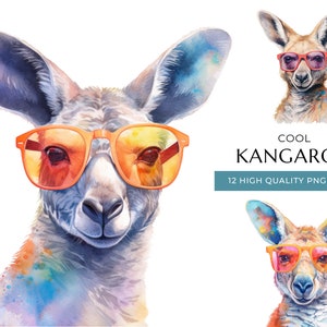 Aquarell Känguru Clipart mit Sonnenbrille, 12 hochwertige PNG & JPEG, cooler Animal Print, digitales Basteln, digitaler Download