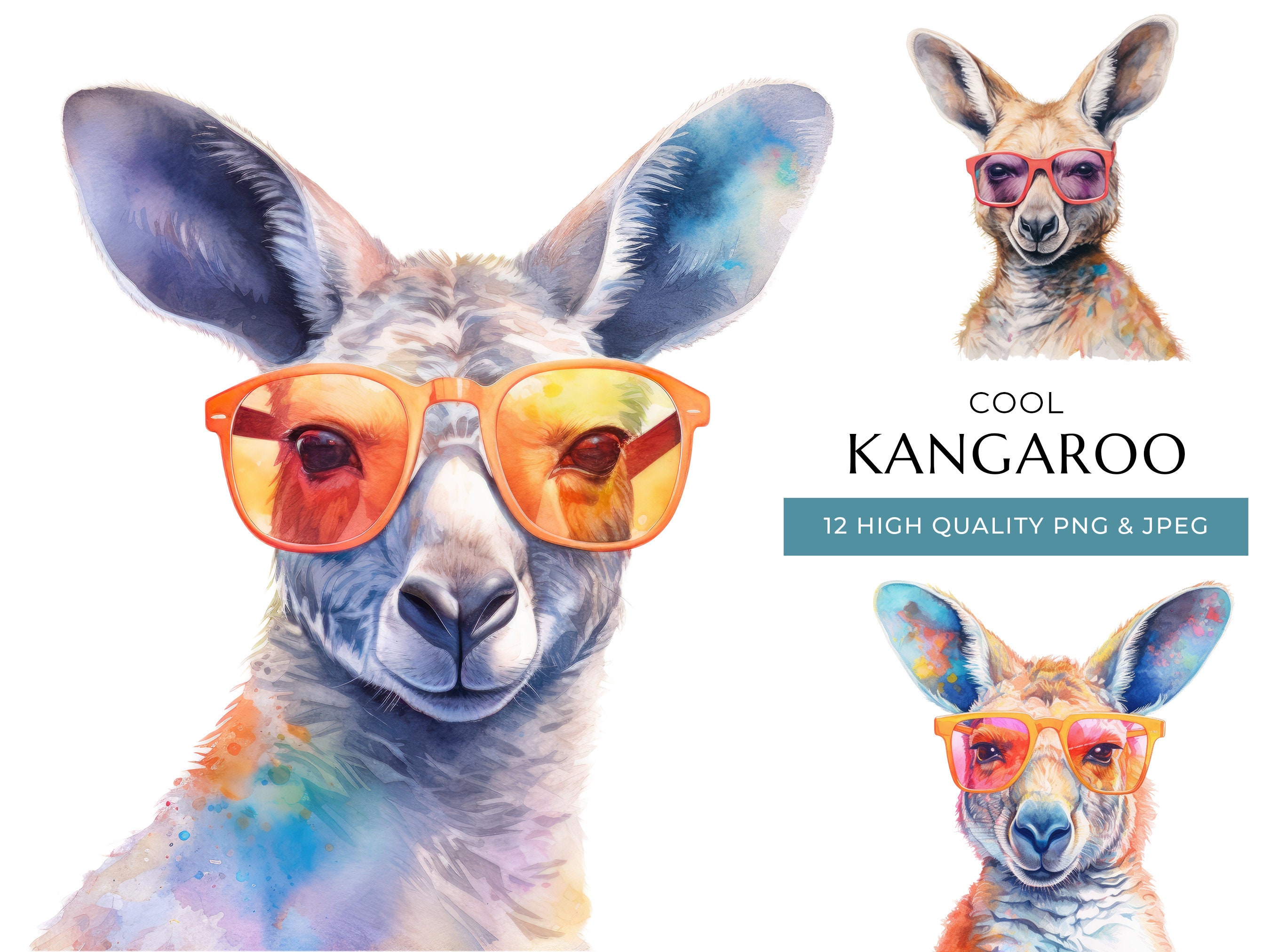 Kangaroo T Shirt - Etsy